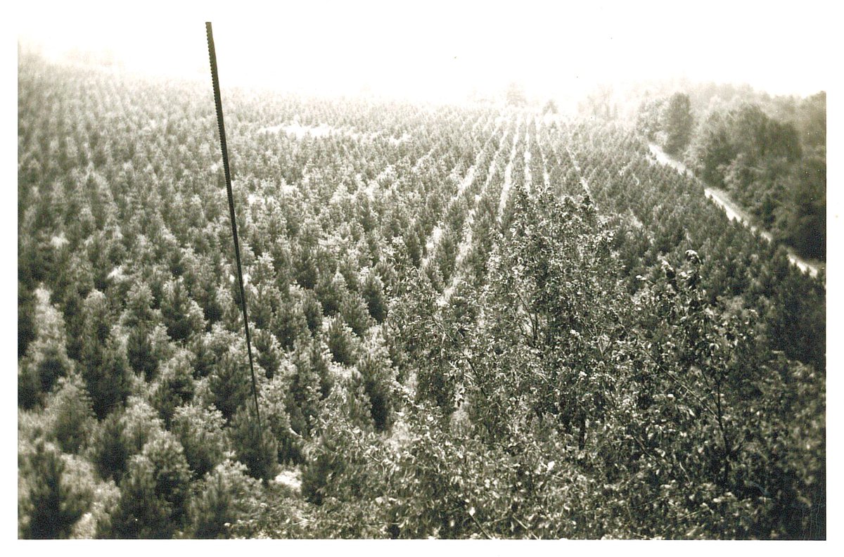 Ohio State Parks & Watercraft tweet media