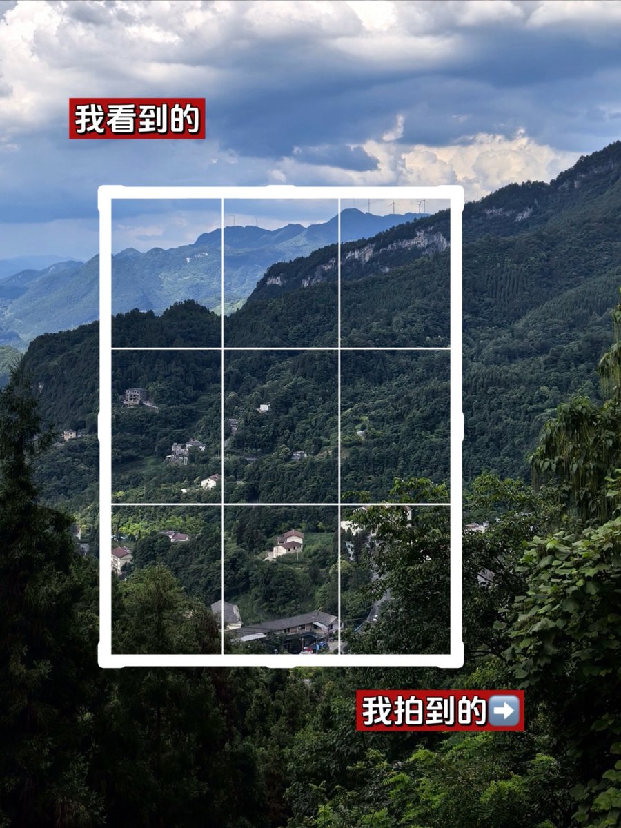 Barbara Zale tweet media