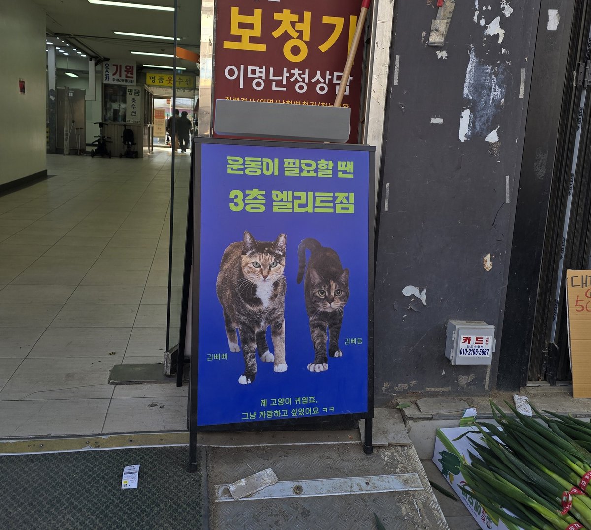 프레스탁! tweet media