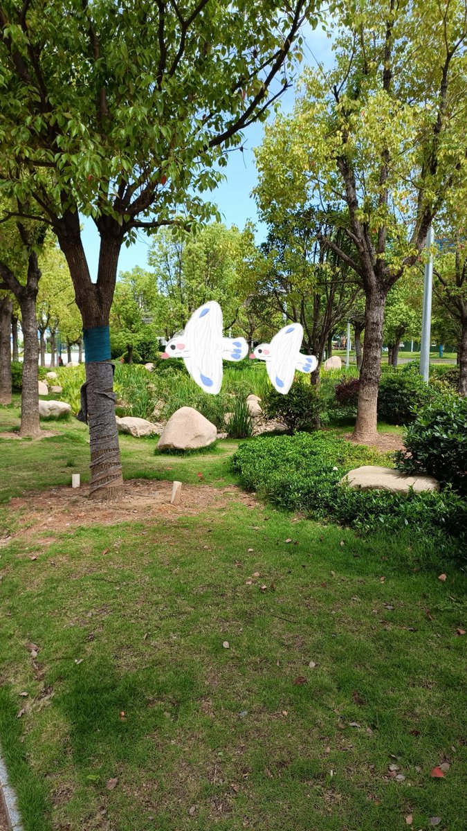 giommaria dore tweet media