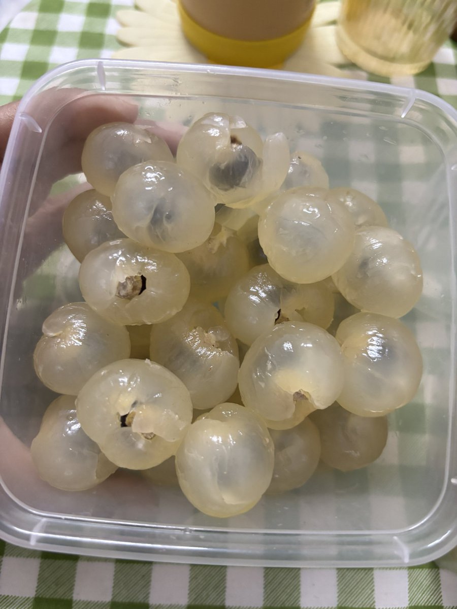 🌸Flower Over Run🌻🥇 tweet media