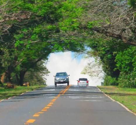 paraguayenjoyer 🌴☀️🥩 tweet media