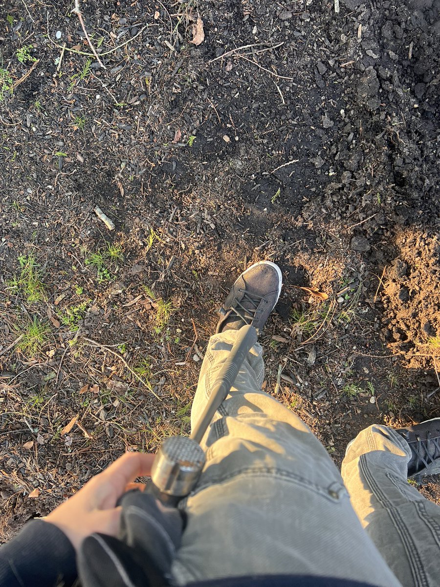 🏈A Mandalorian🏀Your Sports Fantasy Girl⚾️ tweet media