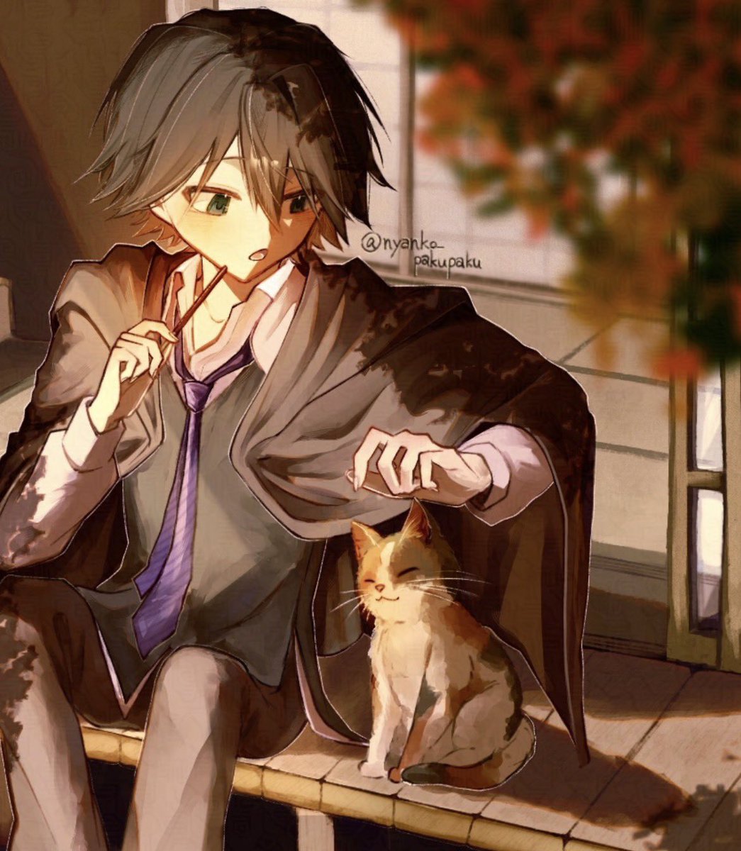 猫食う tweet media