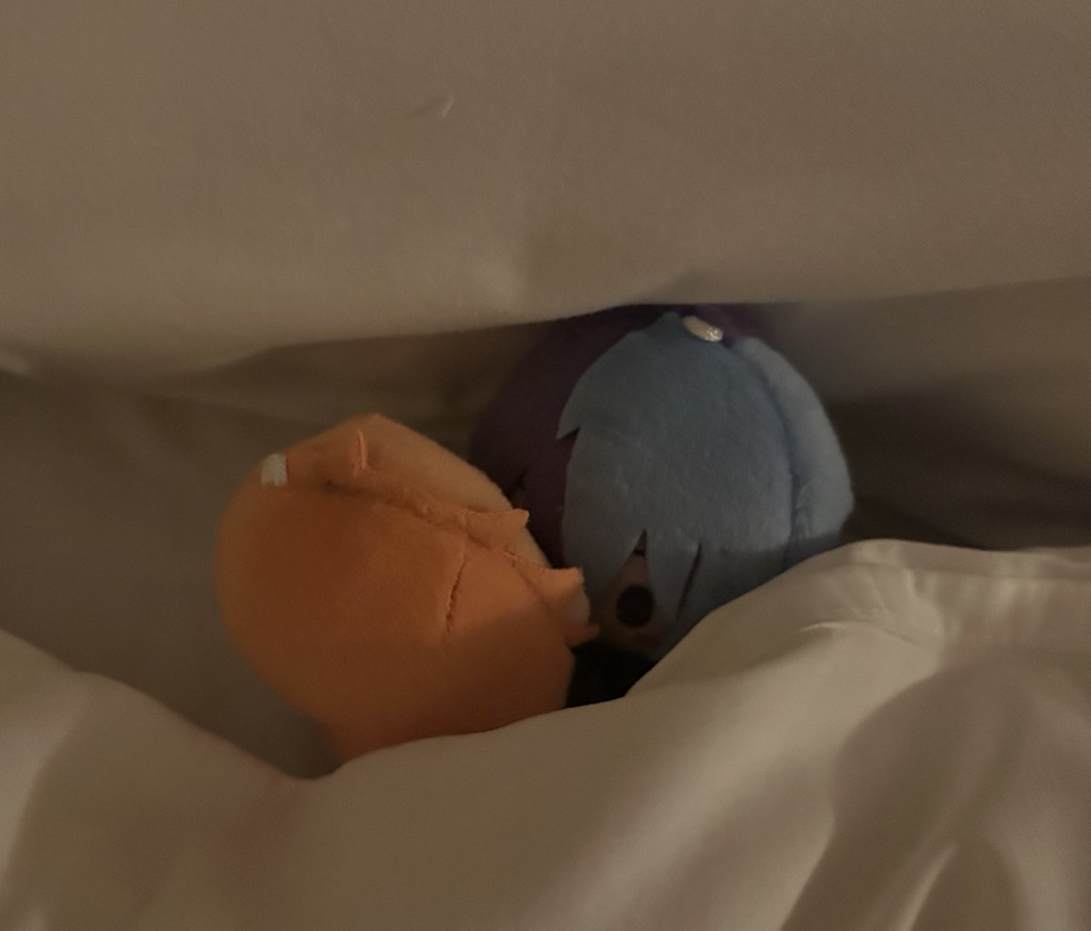 つきみ tweet media