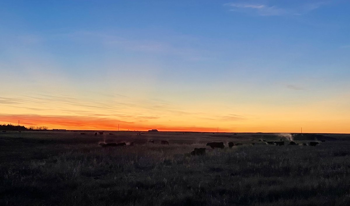 Doug Severson tweet media