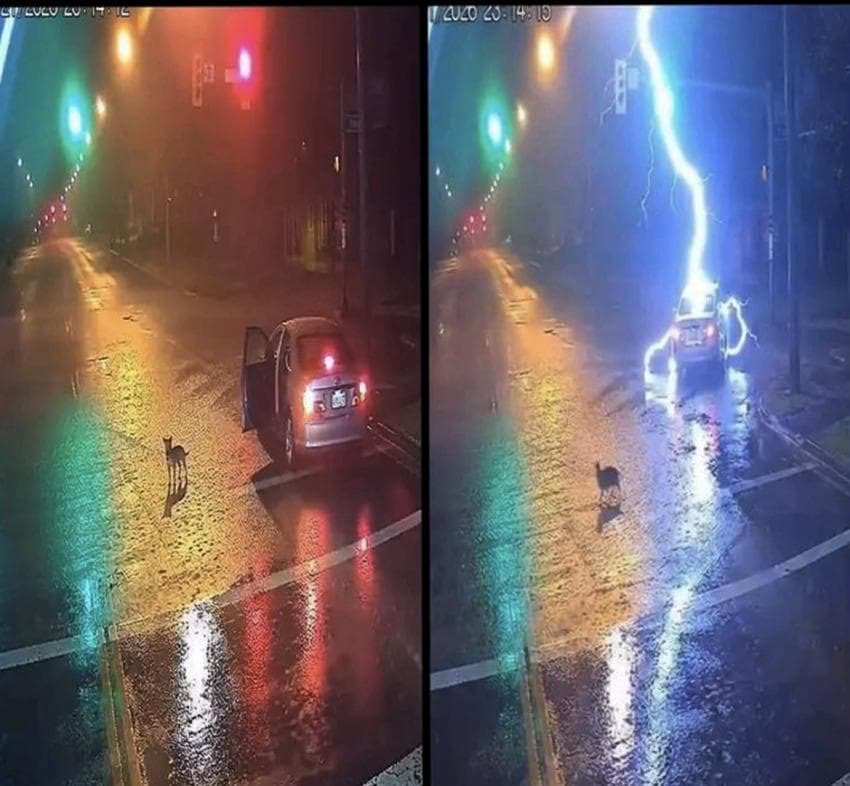 마리나 tweet media