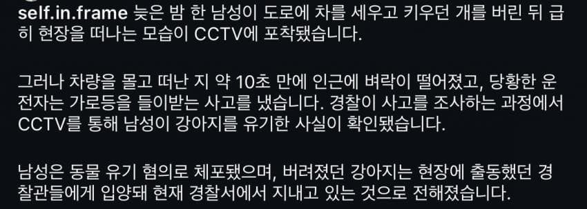 마리나 tweet media