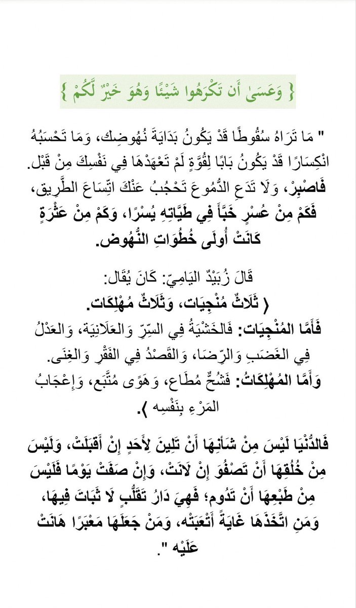 yaahya_91's tweet photo. #مساء_الخير_والسعاده https://t.co/BEh7hReUTm