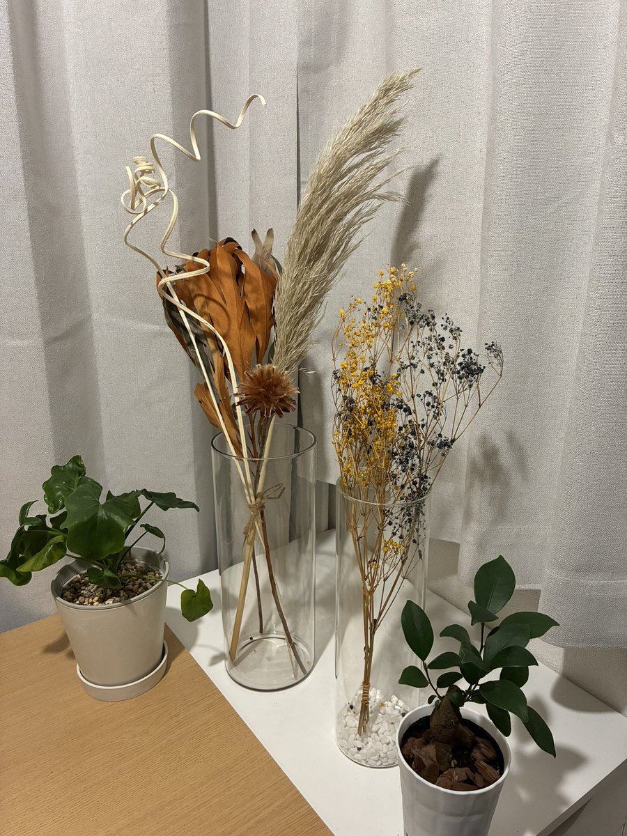 hitsuji_baa's tweet photo. わが家の草コレクションにドライフラワー足したら一気に華やかになっていい感じ https://t.co/0u4E3Mh887