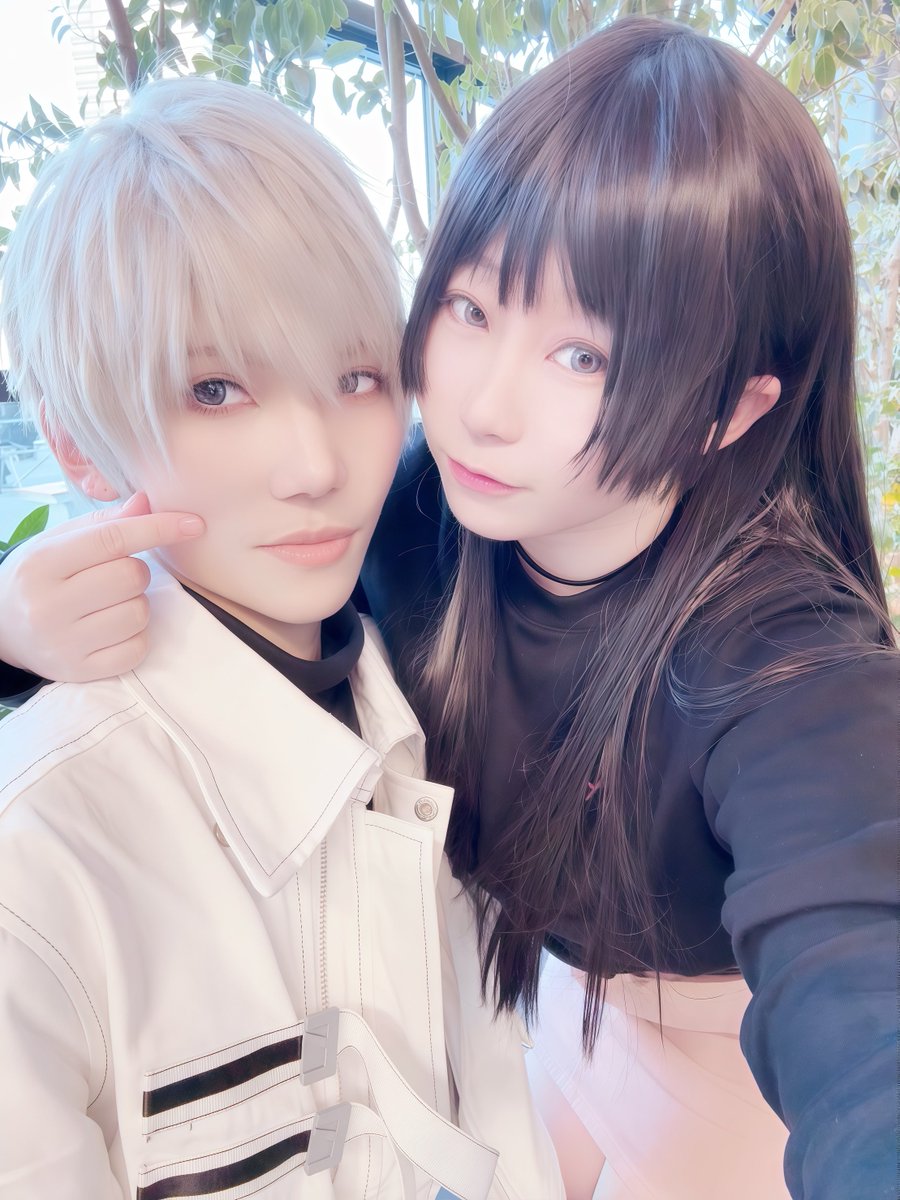真奈華 tweet media