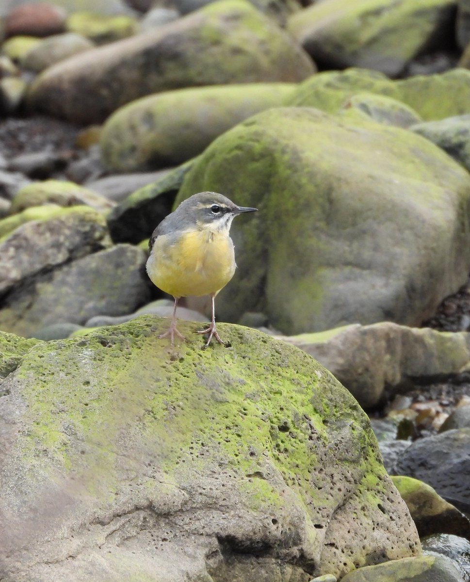 Bwarropics tweet media