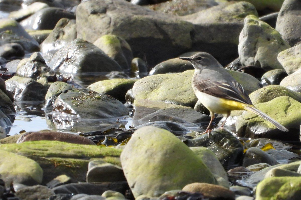 Bwarropics tweet media