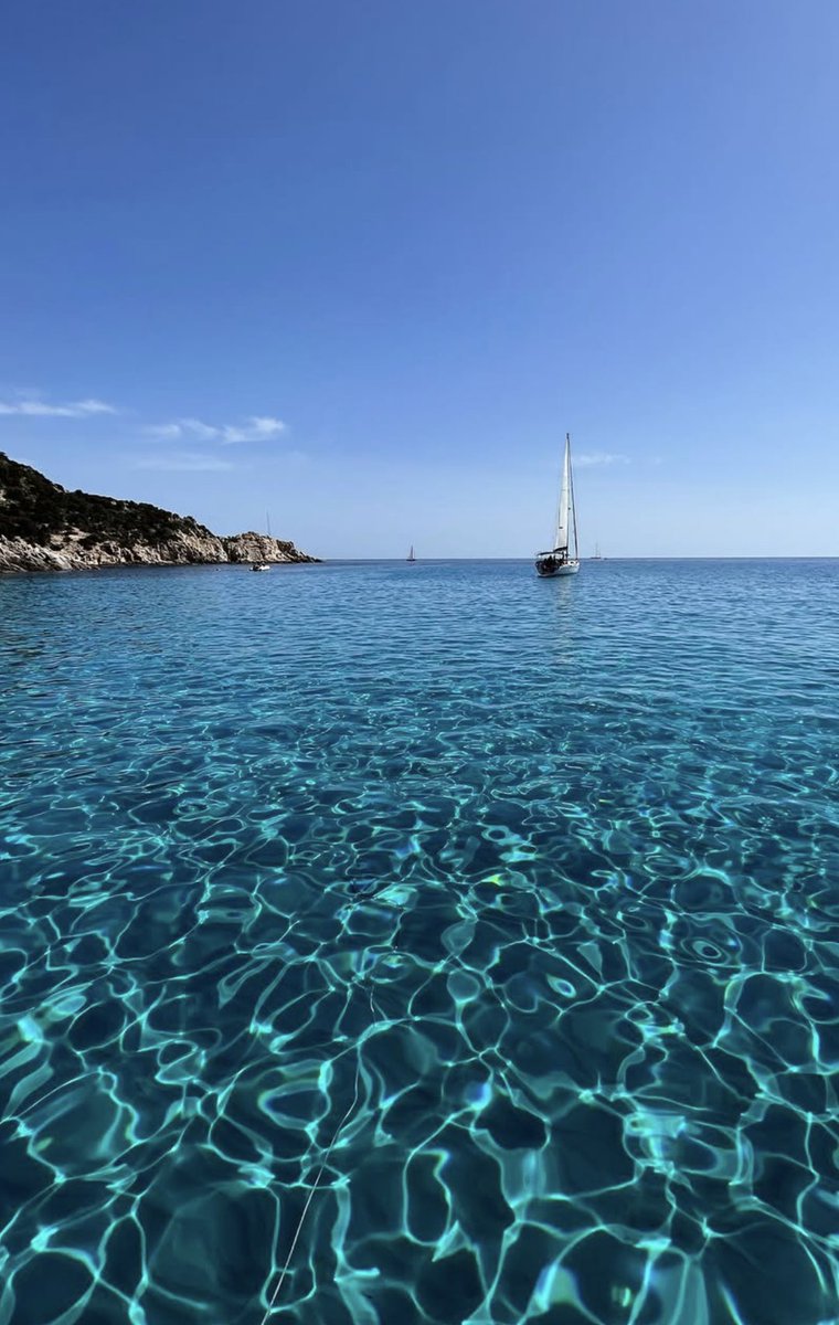 Voxam 🎈 tweet media