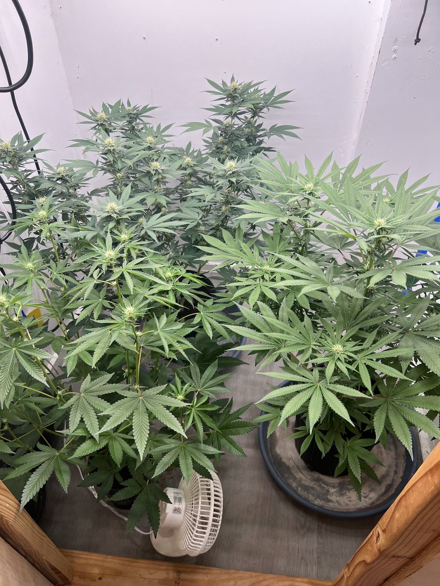 That Hydro Couple tweet media