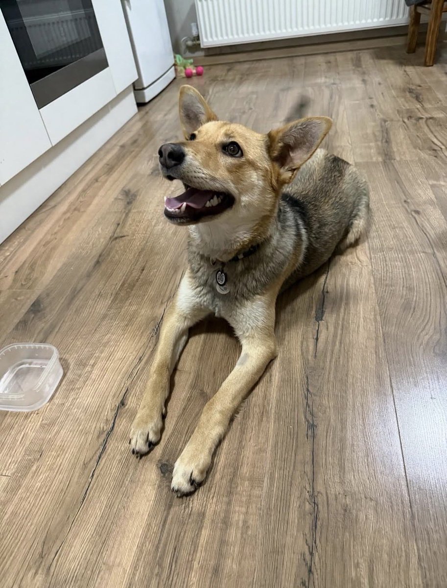 💛💙Hanna❤️🖤 tweet media