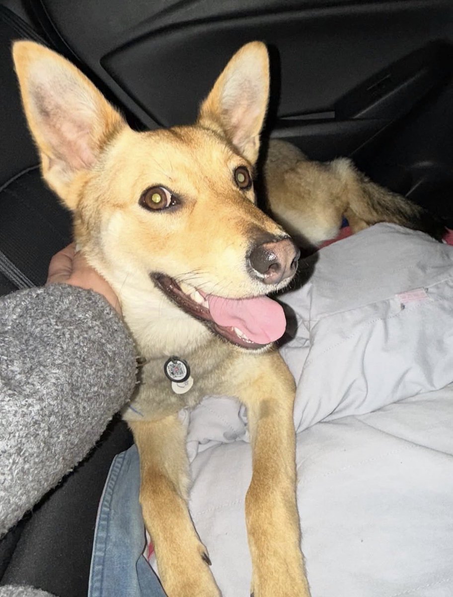 💛💙Hanna❤️🖤 tweet media