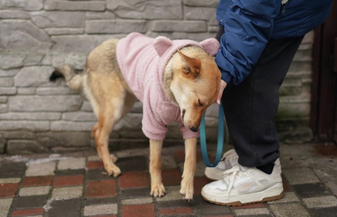 💛💙Hanna❤️🖤 tweet media