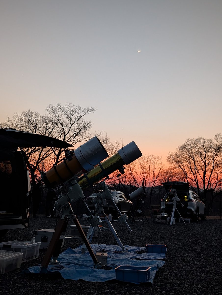 宙ねこ tweet media