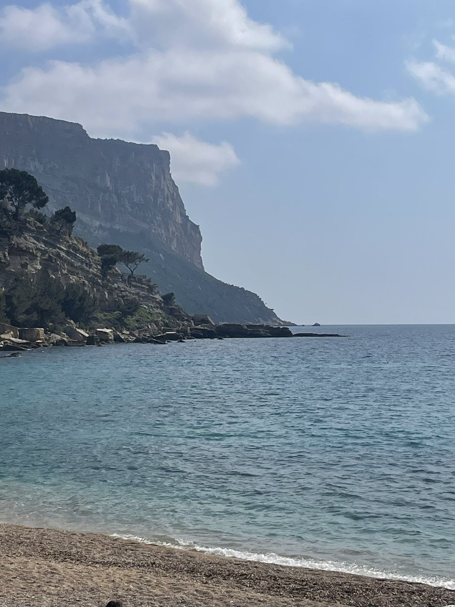 Laetom💙🤍 tweet media