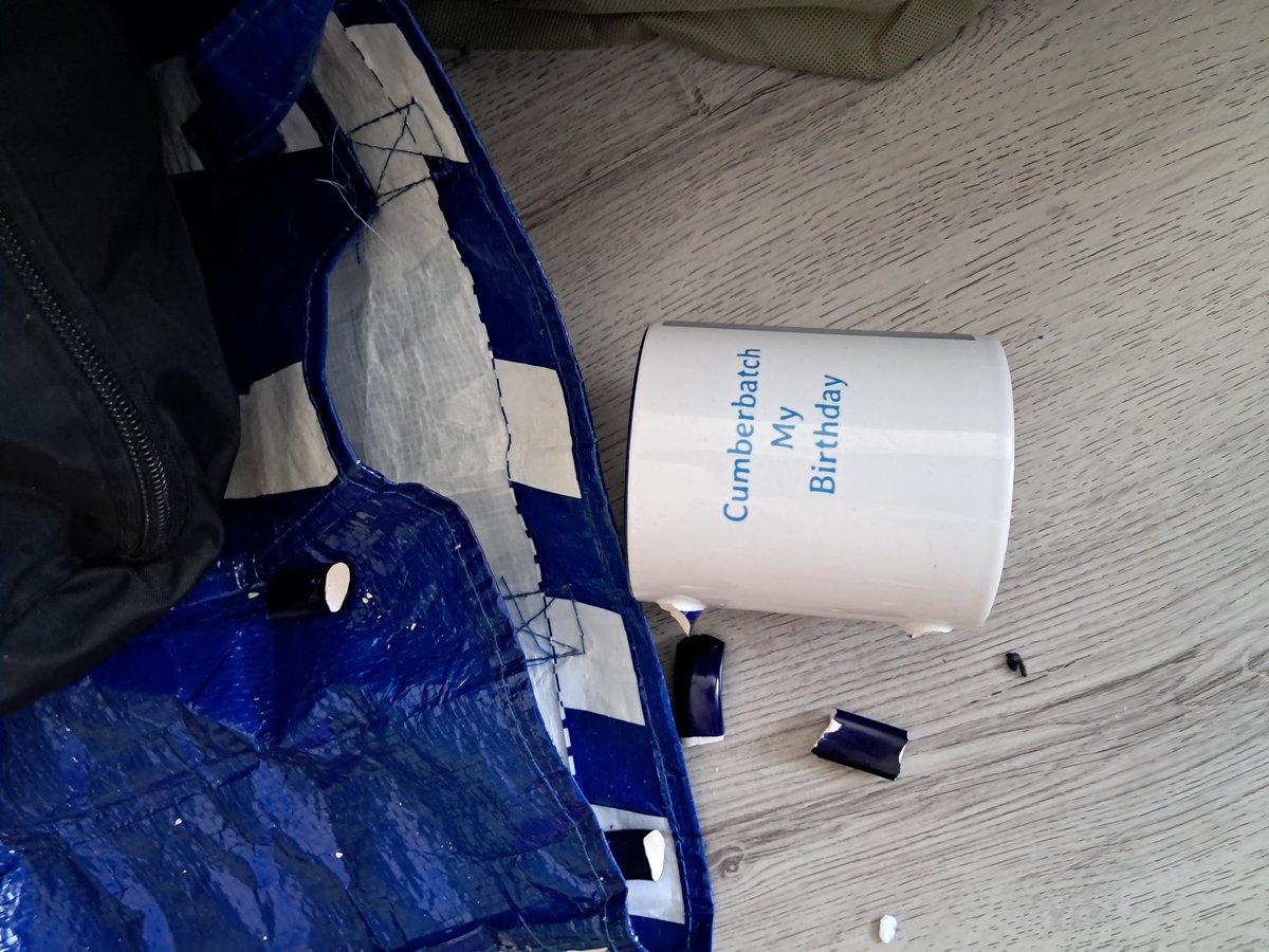 SaskiaCumberDutch🔮 tweet media