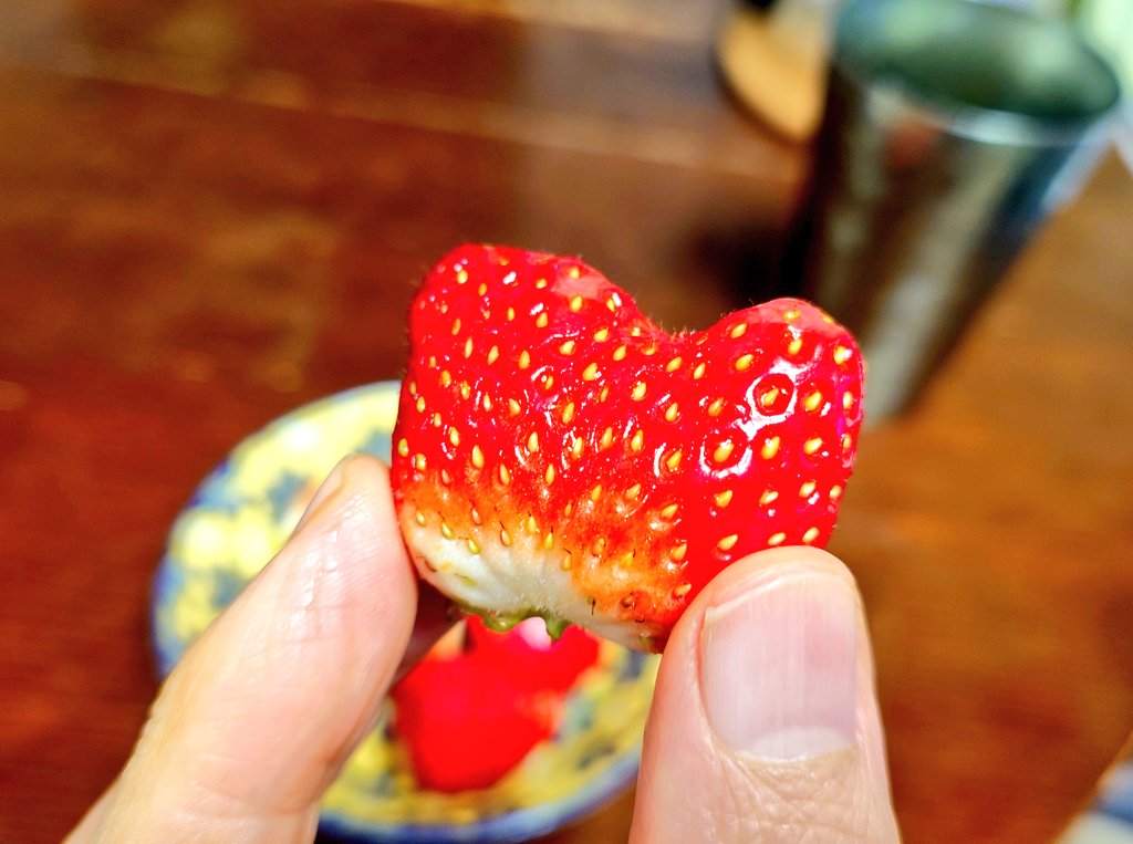 金丸淳一🌞VoiceActor&Vocalist Jun-ichi KANEMARU tweet media