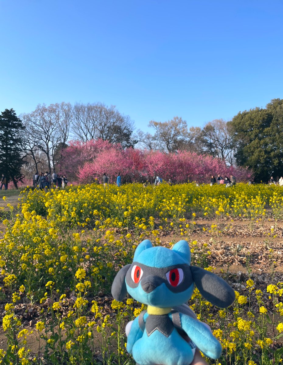 おでかけリオル tweet media