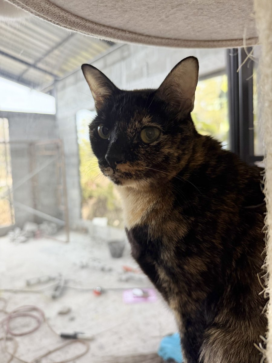 chaom.chaaem tweet media