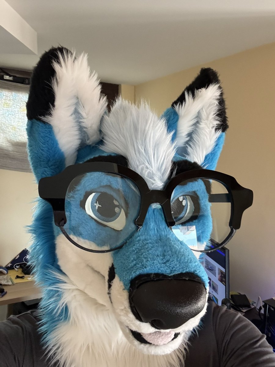 Curaçao tweet media