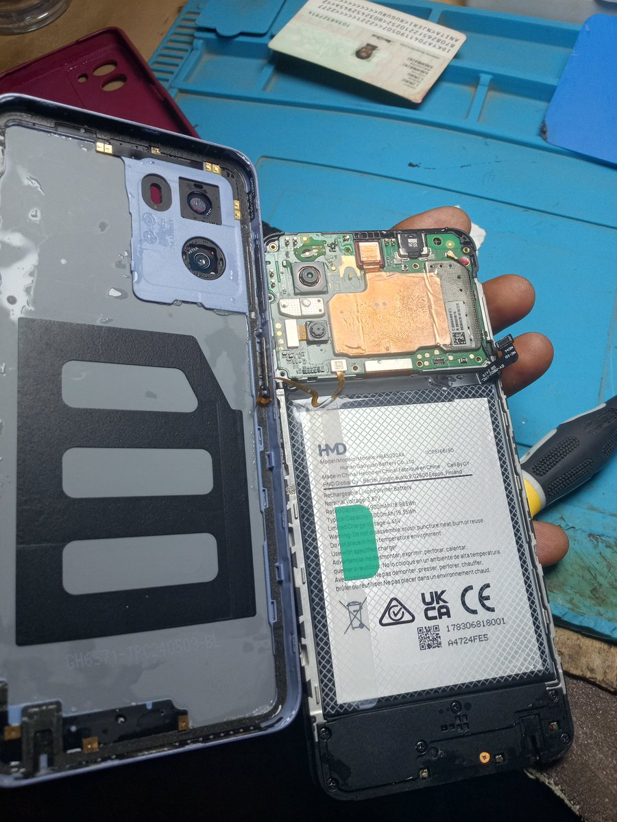 Mr Rango🦎 tweet media