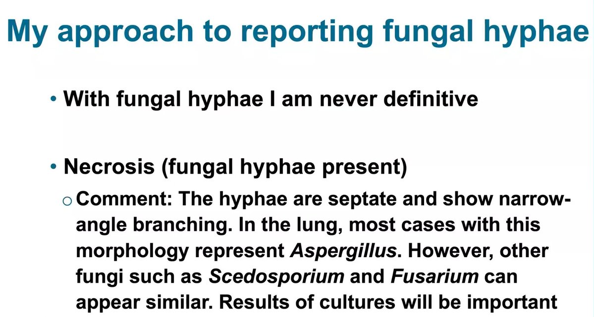 Janiranavarro's tweet photo. How to sign out fungal hyphae in lung?

Dr. Sanjay Mukhopadhyay-Pathology on The Coast 2025, CAP On Demand #pathology #pathX #pathtwitter https://t.co/vl6lBq1P9p