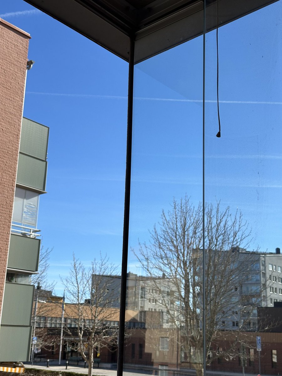 Tratinčica tweet media