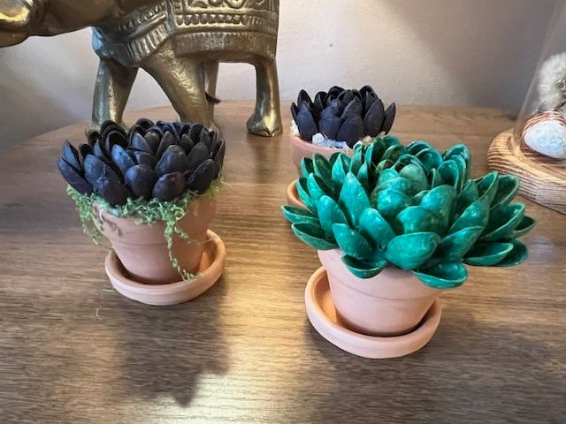 Ninewells Garden tweet media