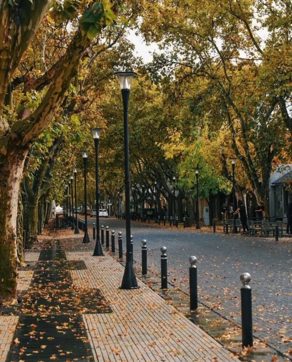 Imagen_Arg's tweet photo. Otoño en San Rafael, Mendoza 🍂 https://t.co/jPFCQR0Z9y