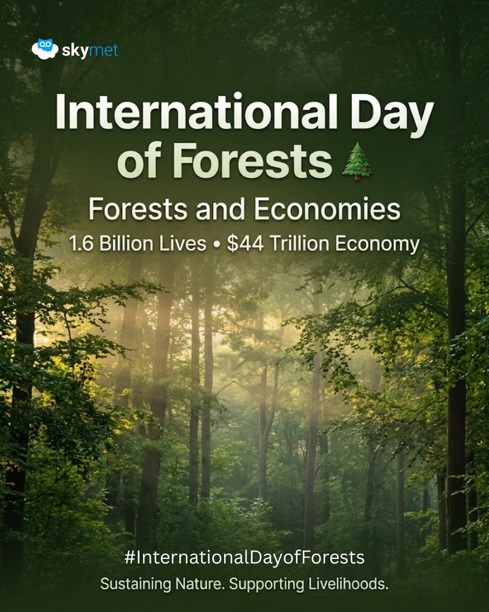 SkymetWeather's tweet image. On International Day of Forests, we celebrate the vital role forests play in sustaining both our environment and our economies. From supporting livelihoods to driving growth, forests are essential and protecting them is our collective responsibility.
#Skymet #Forests #GreenFuture