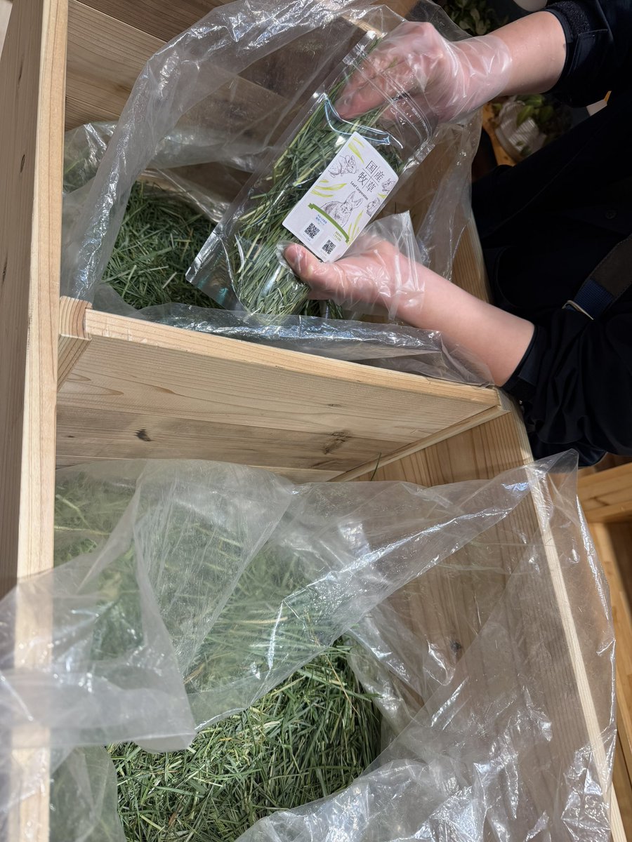 Manami Taira tweet media