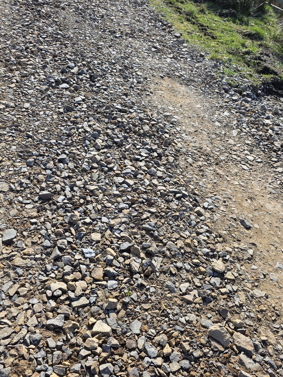 Mrs T 🇬🇧🏴󠁧󠁢󠁥󠁮󠁧󠁿 tweet media