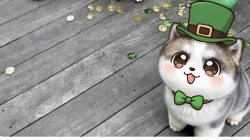 Barnicle.Junior tweet media