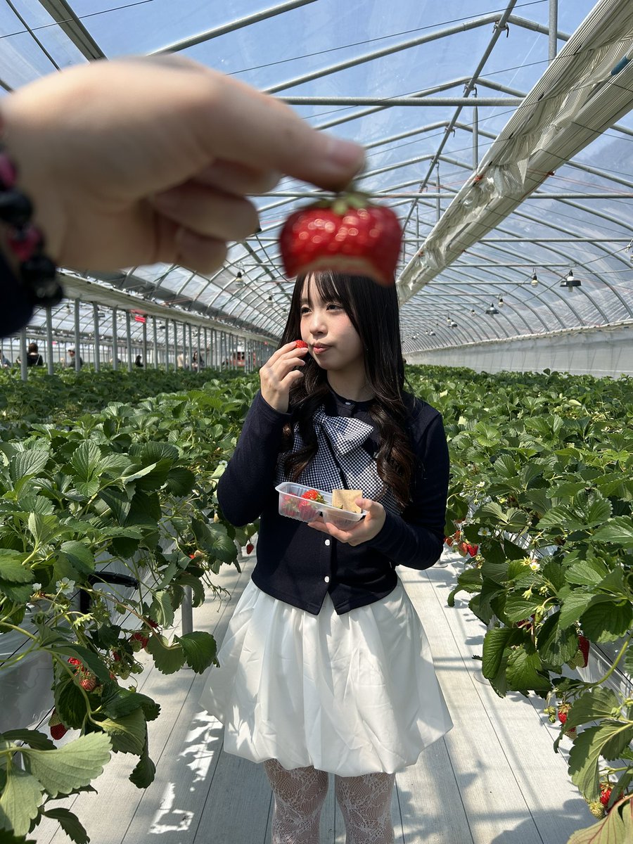 08_lm5's tweet photo. 急遽二日連続お泊まりできて念願のいちご狩りも行けて幸せな休日だった❤️‍🔥 https://t.co/pwtaFtoTRC