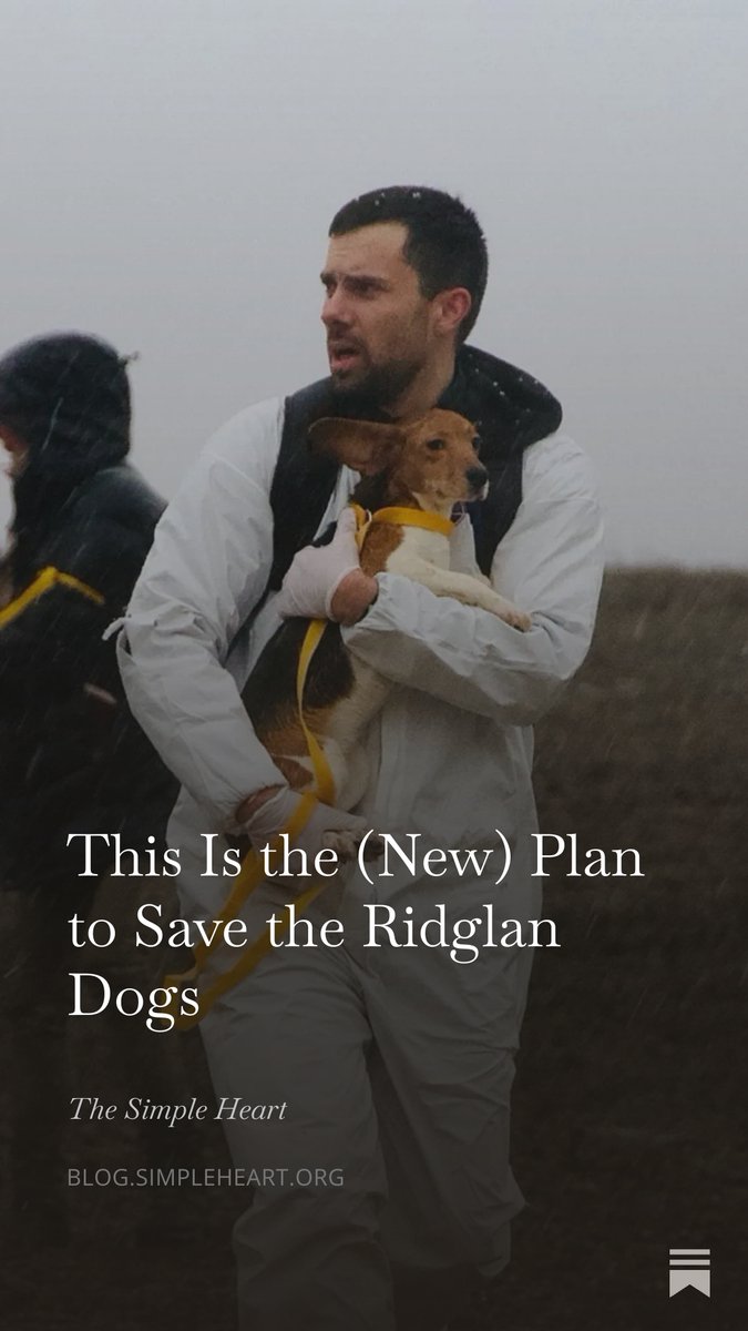 Wayne Hsiung tweet media