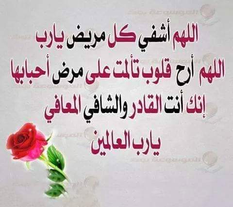 Muhamma73008916's tweet photo. @hanen_kare8471 https://t.co/g1UPbuhr17