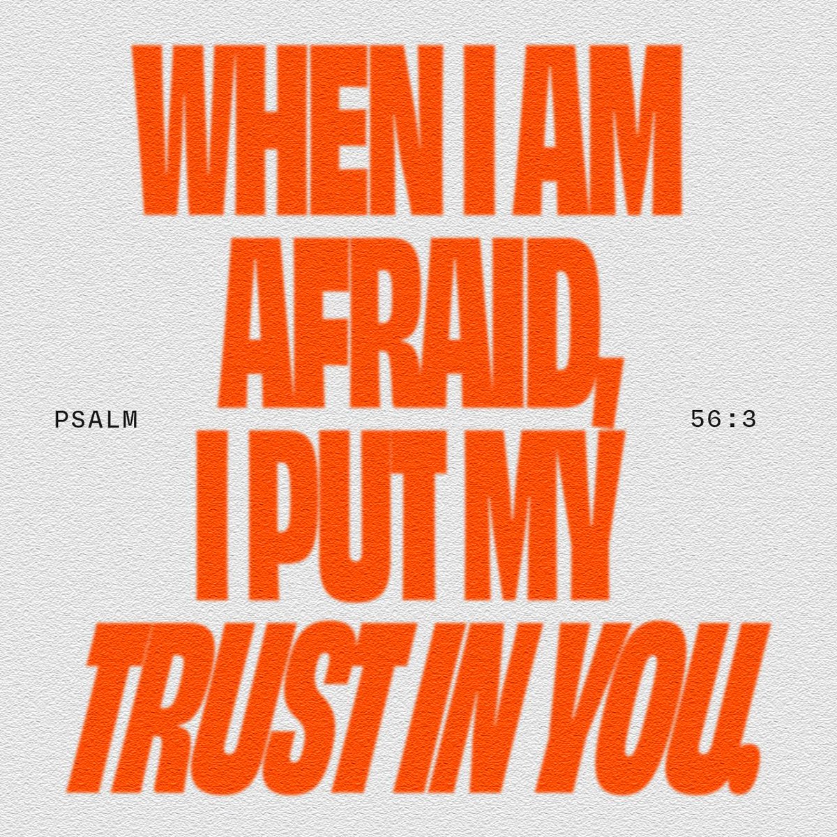 YouVersion Bible App tweet media