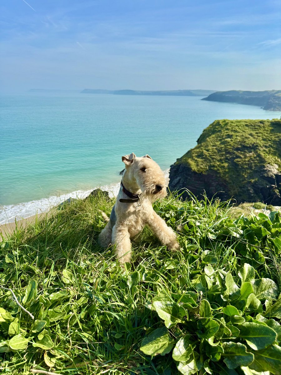 Bertie Lakeland tweet media