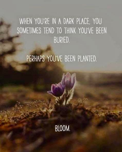 Sr. Mary Joseph Calore, SSCJ tweet media