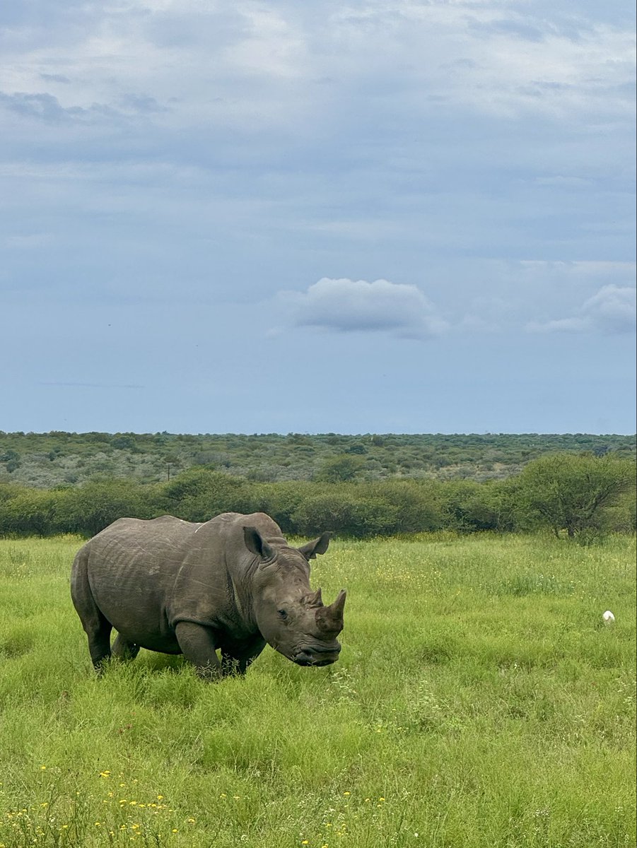 Christo du Plessis tweet media