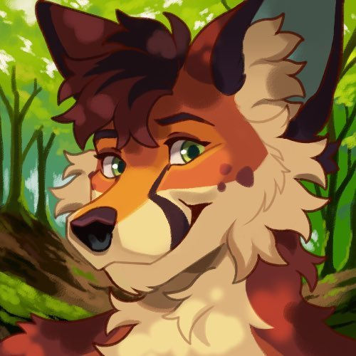 Beefy™ tweet media