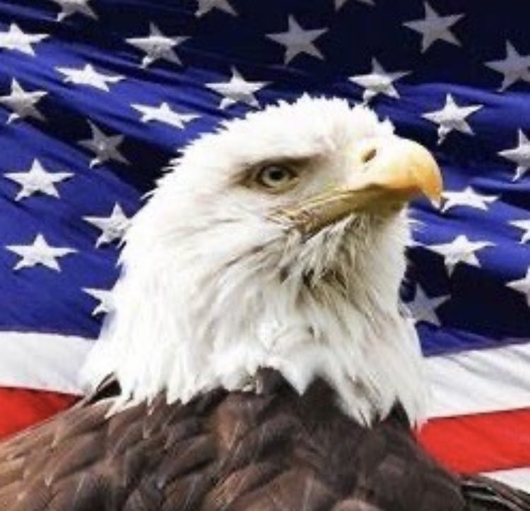 Elizabeth tweet media