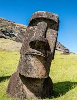 Guillermo LC tweet media