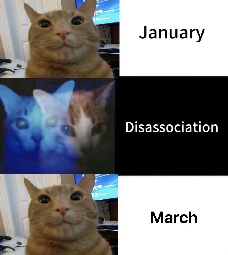 LiterallyMeCats tweet media