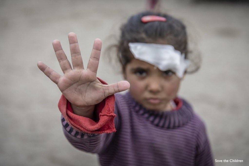 Amico fragile tweet media